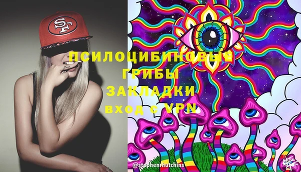молекула духа Белокуриха