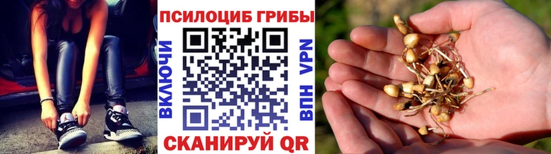 Галлюциногенные грибы Magic Shrooms купить закладку Горнозаводск